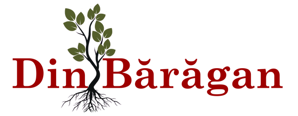 Din Baragan