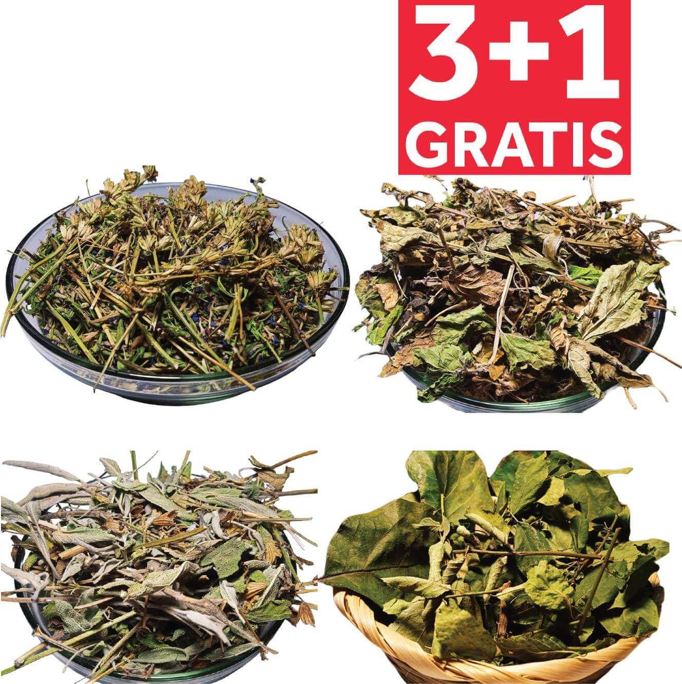 promotie salvie isop roinita