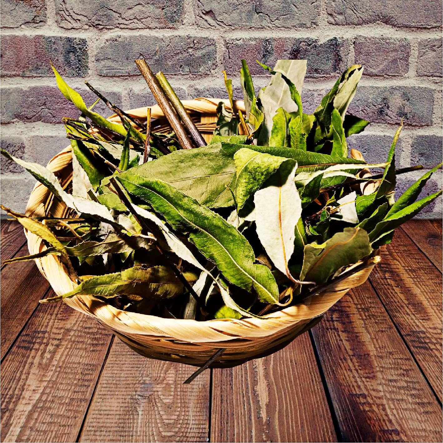 frunze ramuri salcie rozatoare