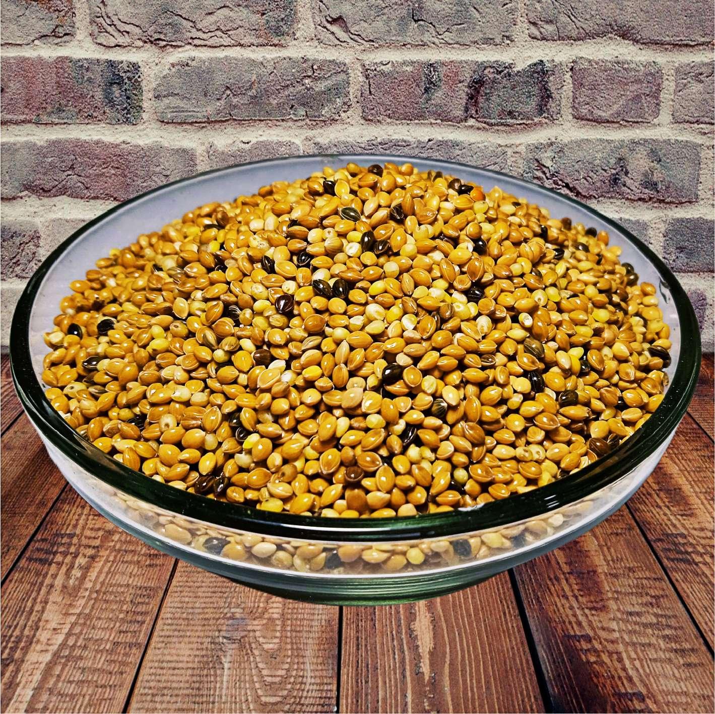 seminte mei pasari salbatice papagali