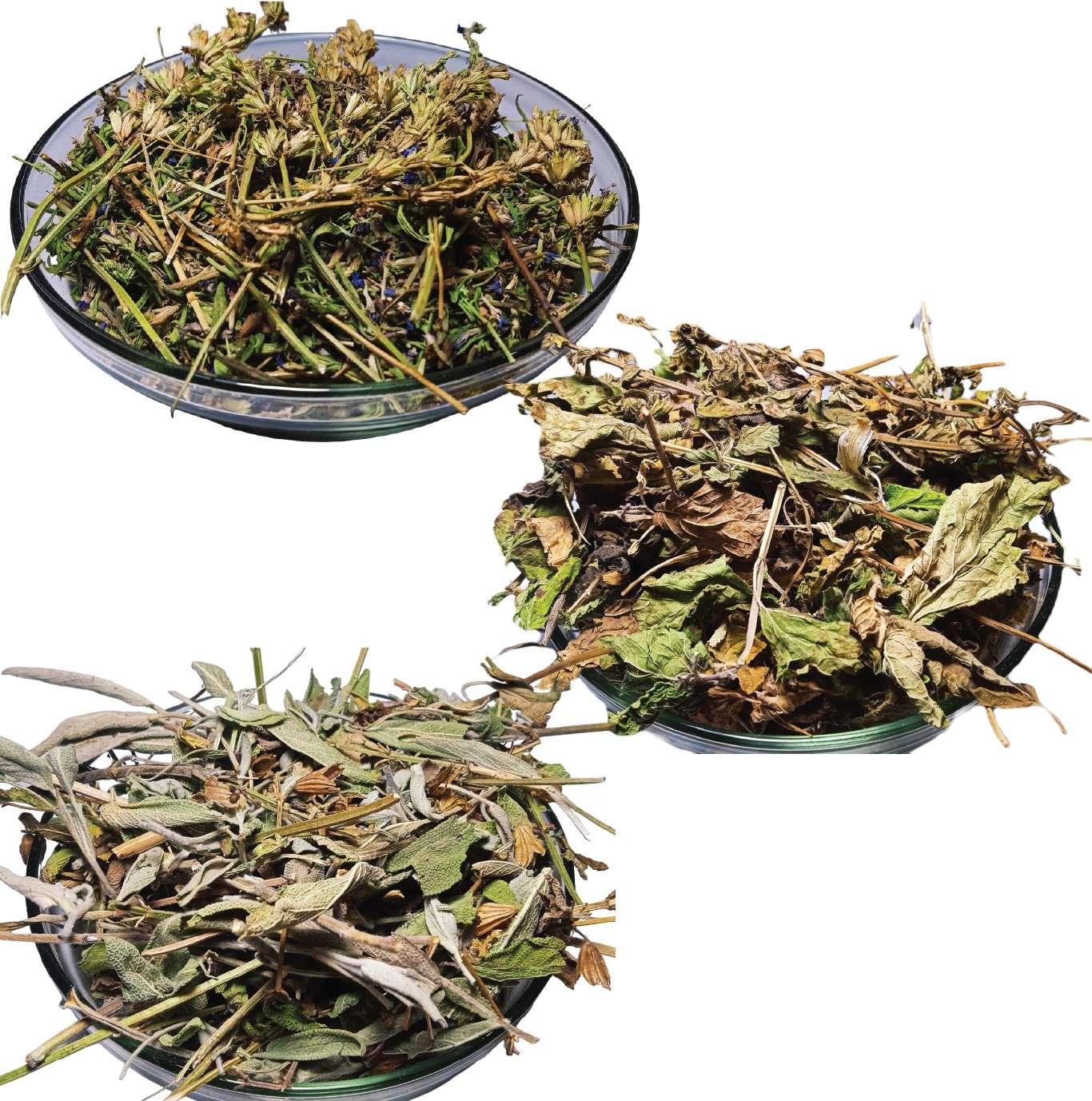 promotie plante aromatice salvie isop