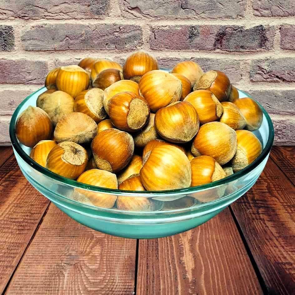 Alune padure in coaja