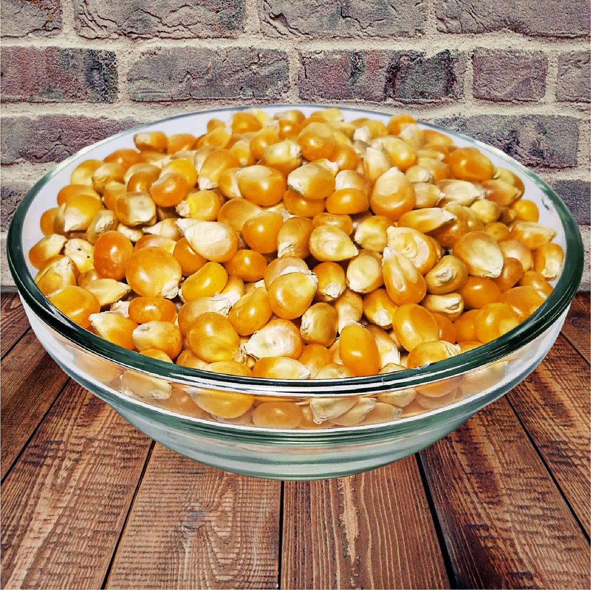 Seminte naturale de Popcorn pentru Microplante – Din Baragan